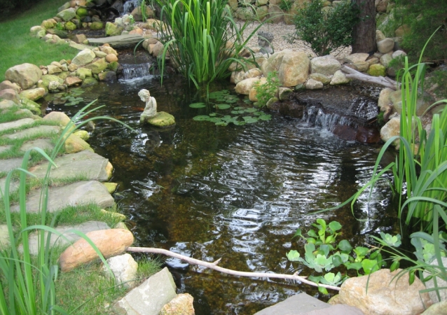 Ponds and Water Gardens